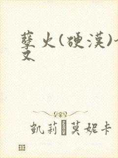 孽火(硬汉)今又