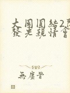 大团圆结2闪闪发光亲情会