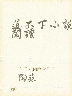 落不下小说全文阅读