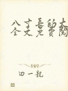 八寸长的大宝贝全文免费阅读