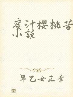 蜜汁樱桃苦咖啡小说