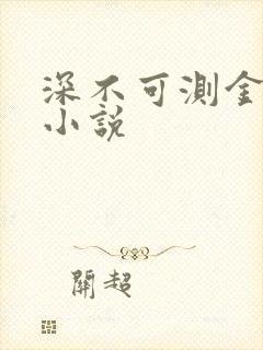 深不可测金银花小说