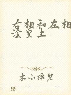 右相和左相一起淦皇上