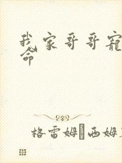 我家哥哥宠妹如命