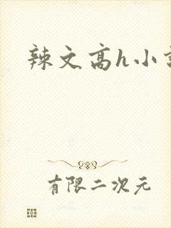 辣文高h小说封面