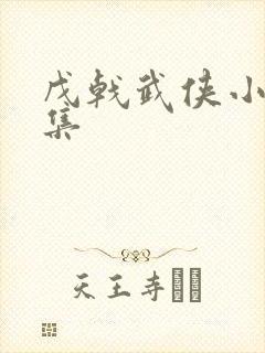 戊戟武侠小说全集