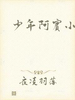 少年阿宾小说