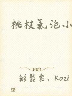 桃枝气泡小说
