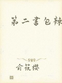 第二书包辣文