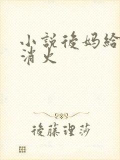 小说后妈给我消消火