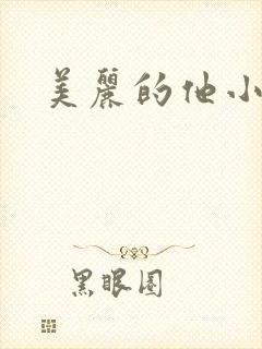 美丽的他小说