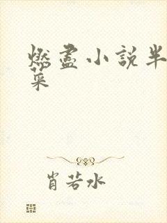 燃尽小说半截白菜