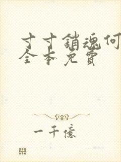 寸寸销魂何生祥全本免费