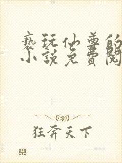 亵玩仙尊的道侣小说免费阅读