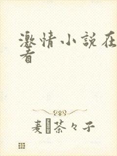 激情小说在线观看