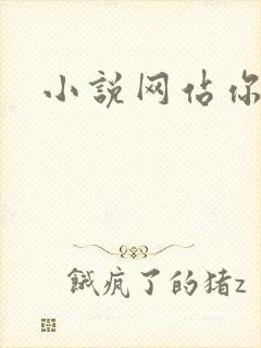 小说网站你懂的