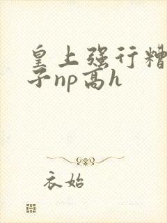 皇上强行糟蹋太子np高h