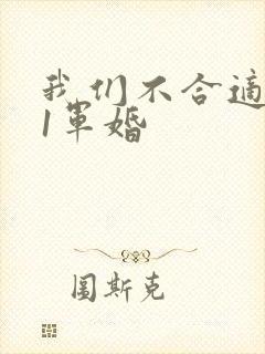 我们不合适1v1军婚