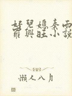 好儿媳秦雨罗明罗兴旺小说