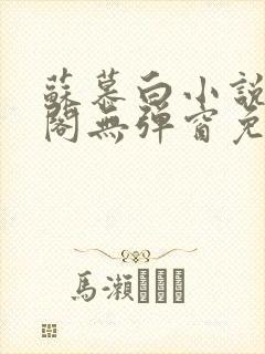 苏慕白小说笔趣阁无弹窗免费阅读