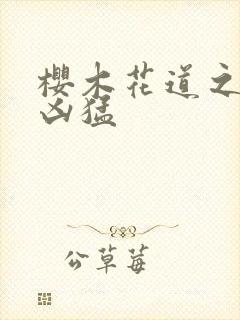 樱木花道之重生凶猛