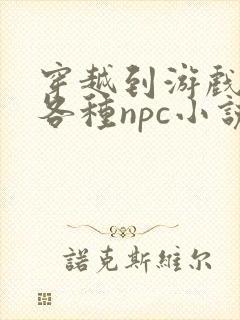 穿越到游戏里和各种npc小说