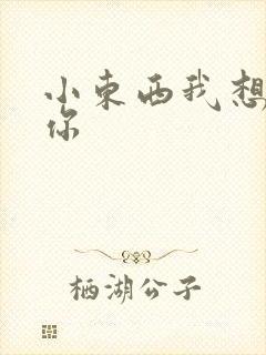 小东西我想弄坏你