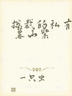 总裁的私有宝贝 暮山紫