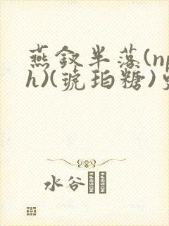 燕钗半落(nph)(琥珀糖)更新