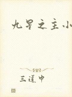 九星之主小说