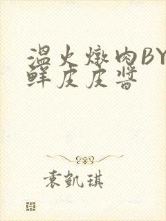 温火炖肉BY海鲜皮皮酱