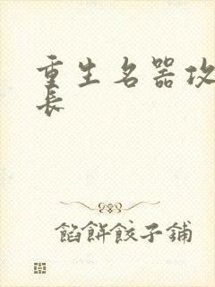 重生名器攻略兄长