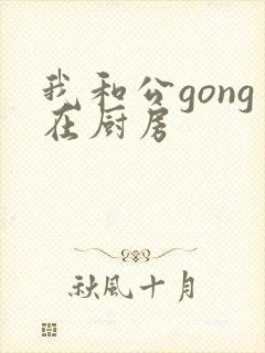 我和公gong在厨房