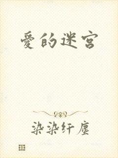 爱的迷宫