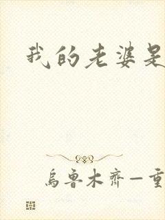 我的老婆是军阀