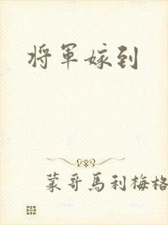 将军嫁到
