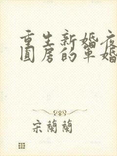 重生新婚夜正在圆房的军婚