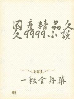 国产精品久久久久9999小说