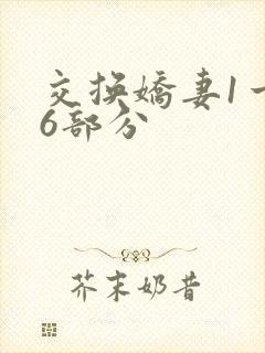 交换娇妻1一36部分