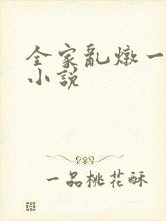 全家乱炖一锅烩小说