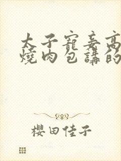 太子宠妾高肉红烧肉包讲的什么