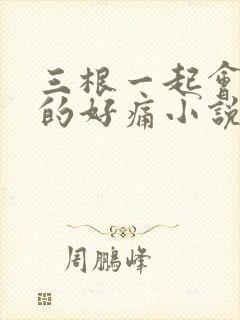 三根一起会坏掉的好痛小说