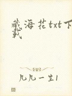 藏海花txt下载