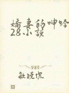 娇妻的呻吟1—28小说