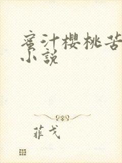 蜜汁樱桃苦咖啡小说