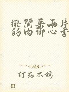 拨开岳两片肥嫩的肉御心香帅