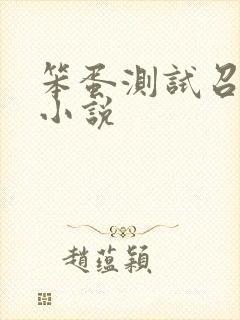笨蛋测试召唤兽小说