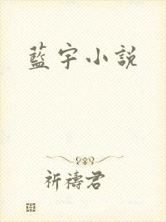 蓝宇小说