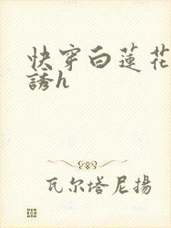 快穿白莲花的引诱h