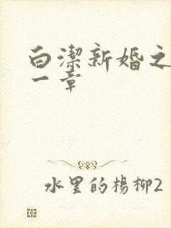 白洁新婚之夜第一章